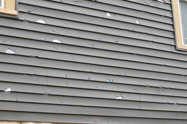 Best Residential Junk Removal  in Hillsboro, ND