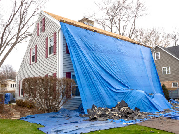 Best Basement Cleanout  in Hillsboro, ND